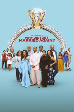 Why Did I Get Married Again? – plakát