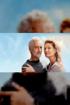 Cesta domů – plakát
