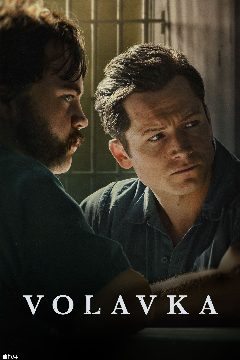Volavka – plakát
