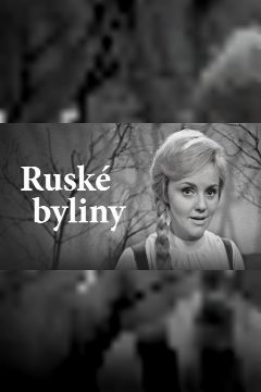 Ruské byliny – plakát