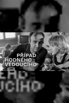 Případ hodného vedoucího – plakát