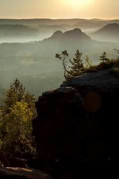 Lesní baldachýn – plakát