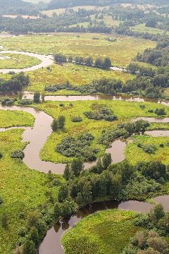 Vltava: Zlatá řeka – plakát