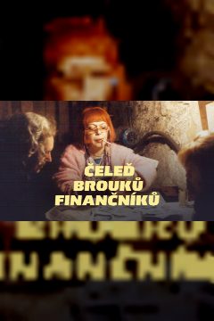 Čeleď brouků finančníků – plakát
