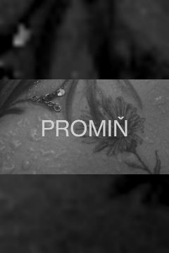 Promiň – plakát