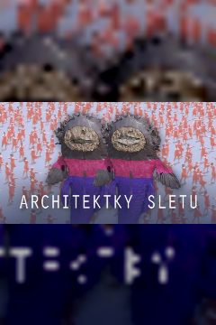 Architektky sletu – plakát