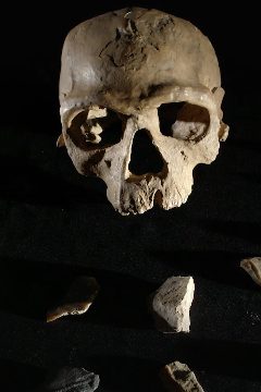 Homo sapiens: Nové počátky – plakát