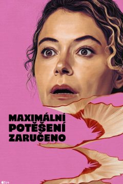 Maximální potěšení zaručeno – plakát